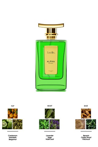 Lucille Alpha Erkek Parfüm EDP 100 ML