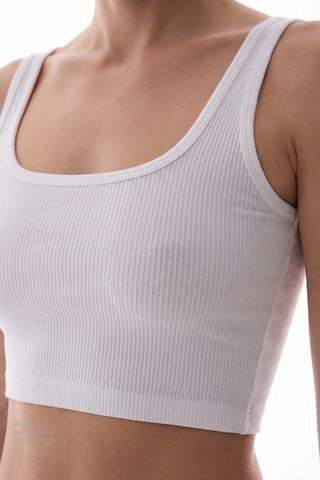 Penti Beyaz Seamless Dikişsiz Kare Yaka Crop Üst Beyaz
