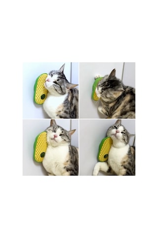 Kedi Kıyafeti Silikon Kaşıyıcılı Kedi Otu