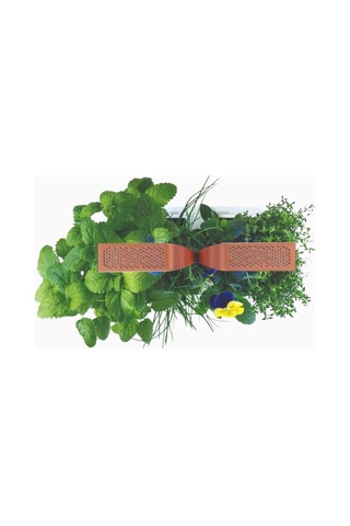 Veritable Véritable Smart White Copper Akıllı Iç Mekan Bitki Yetiştirme Sistemi Hobi Bahçesi Çok Renkli