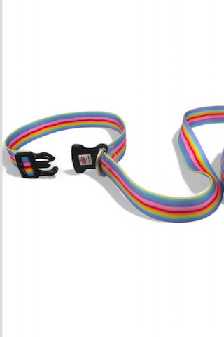 Caramelos Köpek Gezdirme Tasması, Bağlama Kilitli, Anti Shock 5 Çok Renkli