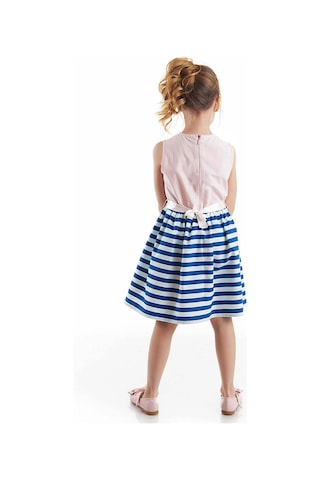 Denokids Mshb&g Çiçekli Kız Çocuk Abiye Elbise Pembe