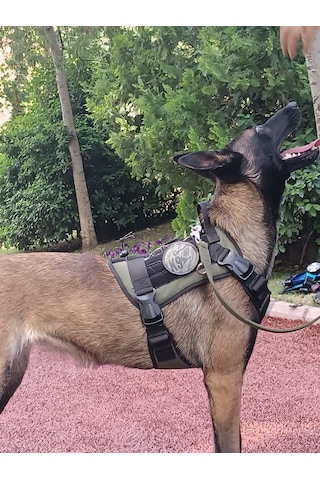 Tactical Göğüs Tasması Taktik Tasma Haki
