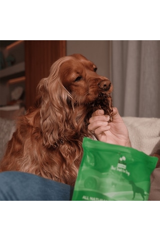 Kito Dana Akciğer Küp Atıştırmalık Doğal Glutensiz Organik Köpek Ödül Maması 100 G