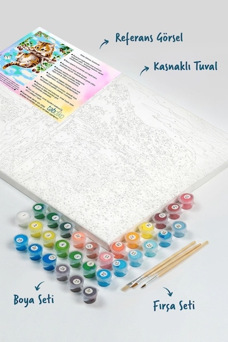 Sayılarla Boyama Seti 40 X 50 Cm Tuval Şasesine Gerili Yaramaz Yavru Kedi