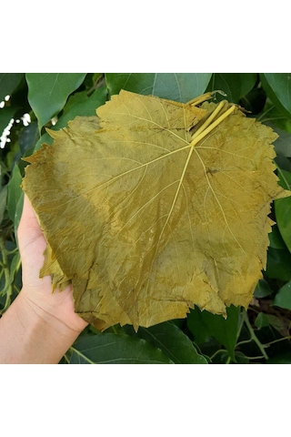 Ege'den Sultaniye Salamura Asma Yaprak Yeni Mahsul 5 Kh.bidon