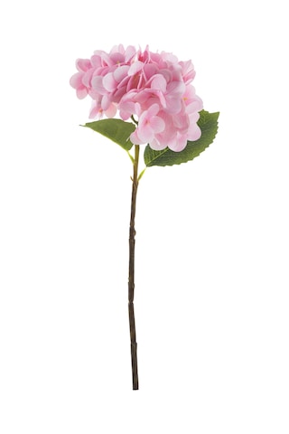 Mudo Home Sıngle Ortanca Çiçek Pembe 42cm