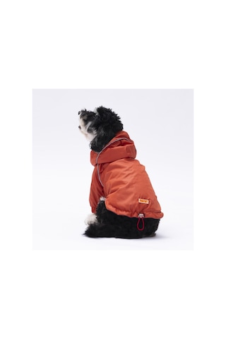 Pawstar Turuncu Pluvia Kedi Köpek Mont Kedi Köpek Kıyafeti