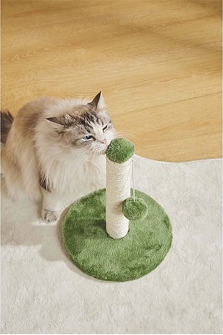 M-pets My First Ponponlu Kedi Tırmalama Tahtası Yeşil 24x24x30 Cm 244-54010.01