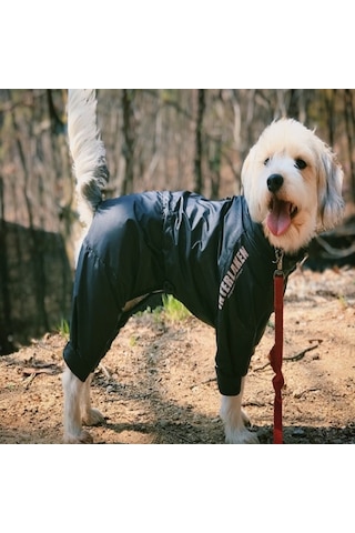 Fonksiyonel Fermuarlı Tulum Rüzgarlık Yağmurluk Köpek Kıyafeti
