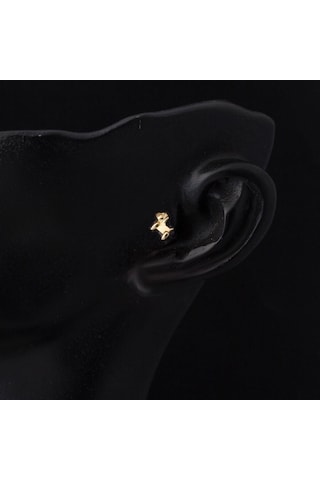 Bilezikci 14 Ayar Altın Tragus Piercing Küpe Kphsy14k22506