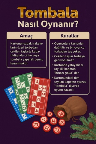 Hediye Zeka Oyunları 3 Lü Yılbaşı Oyun Seti Tombala + Kızma Birader + Solo Test