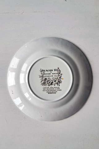 Beacon Hill İngiliz Vintage Pasta Tabağı 17.5cm