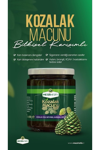 Mesiri-şifa Kozalak Macunu 240 G