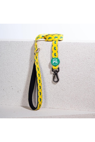 Pawstar Cactus Leash Kedi Köpek Sevk & Gezdirme Kayışı Köpek Uzatma Tasması Sarı