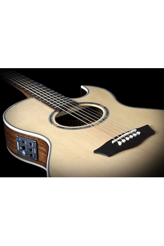 Washburn Ea20s Nuno Bettencourt Signature Elektro Akustik Gitar