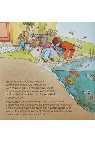 Eğlenceli Bilim Su Altı