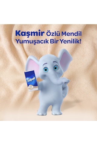 Selpak Kaşmir Özlü Mendil 100'lü 10 10