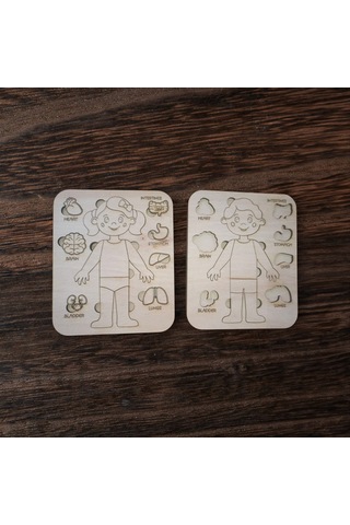 Ahşap Anatomi Puzzle Öğretici Organ Oyunu Kız/erkek