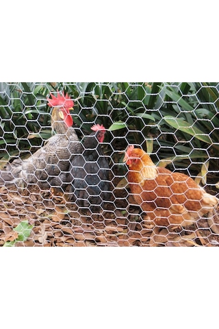 Tavuk Kümes Teli - Kafes Teli 1x20 Mt 2 inch 50 MM