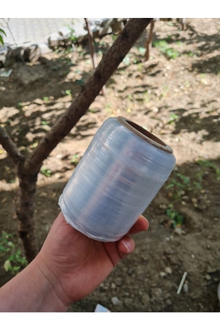 Şeffaf Bitki Aşı Bandı