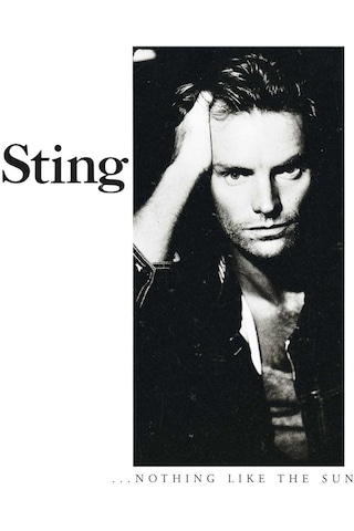 Sting - Nothing Like The Sun 2 Plak - İngiltere Basım / Lp