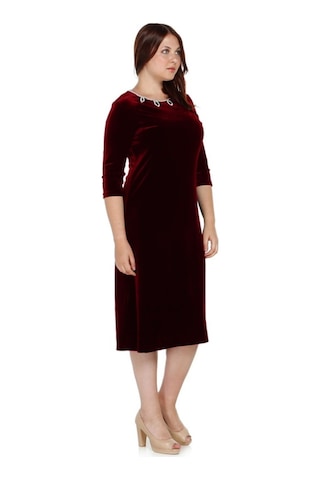 Nidya Moda Büyük Beden Kadın Bordo Inci Işli Abiye Elbise-4072B Bordo