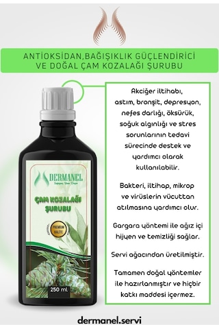 Dermanel Çam Kozalağı Şurubu 250 ML