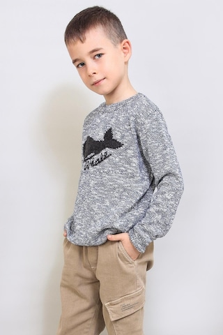 Alexandergardı Çocuk Desenli Triko Kazak C19-ag50384 001