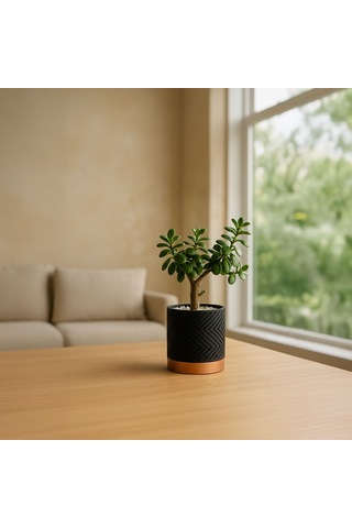 Linea Noir Modern Saksı