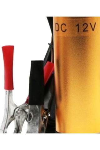 Besthome1 Suntek 38mm Dizel Pompa, 12v Altın, Su Ve Yakıt Transfer