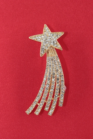 Gold Kayan Yıldız Broş. Yaka İğnesi Broş. Taşlı Broş. Gold Broş. Kadın Broş. Erkek Broş. Yıldız Broş Kırmızı