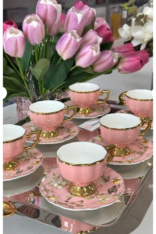 Eldon 6 Kişilik Porselen Fincan Takımı Pudra Pudra Pembe Eldon 6 Kişilik Porselen Fincan Takımı Pudra Pudra Pembe
