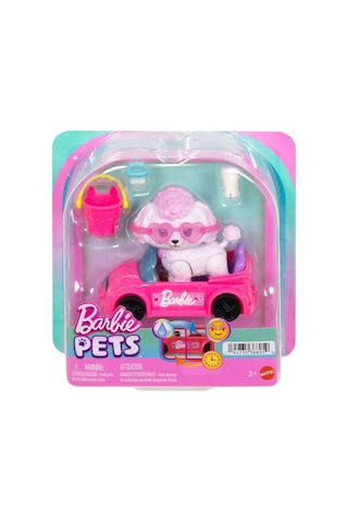 Barbie Dream Squad Renk Aksesuarlı Yavru Köp Jmw94 Seri 1