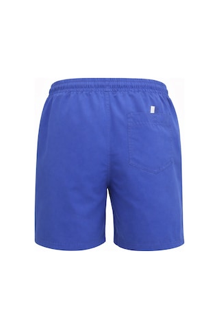 Reebok Mılak Short Mavi Erkek Deniz Şortu