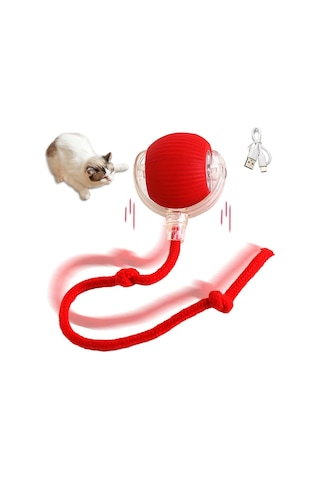 River World Kediler İçin Oyuncak Şarjlı