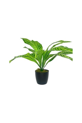 Yapay Çiçek Drecana Yukka 12yaprak Salon Çiçeği Plastik Siyah Saksılı Yapay Bitki
