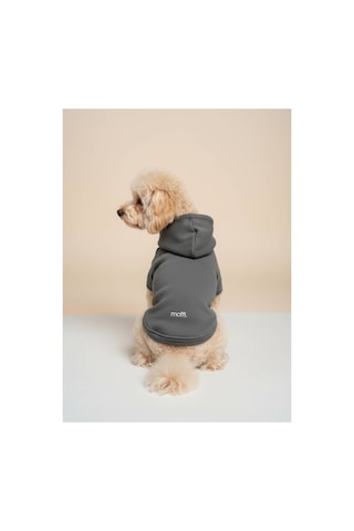 Kapüşonlu Kedi Köpek Kıyafeti Sweatshirt Hoodie Evcil Hayvan Giysisi