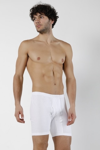 Doremi Erkek Arjantin Boxer 001