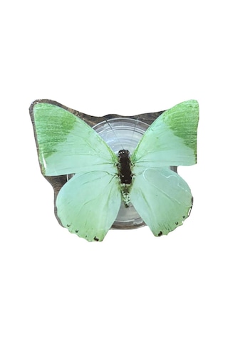 E2m Pop Socket Telefon Tutucu Kelebek Yeşil Yeşil