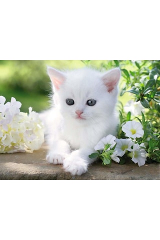 Ravensburger 1500 Parça Puzzle Beyaz Kedi 162437