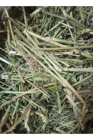 As Baharat Kedi Otu Kökü 1. Kalite 1 Kg