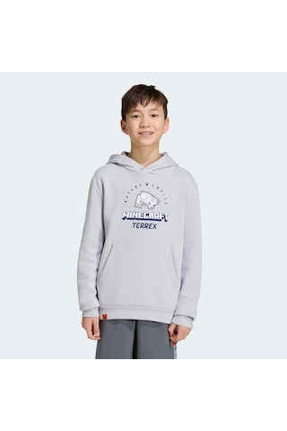 Adidas Minecraft Terrex Çocuk Gri Sweatshirt Kd8750
