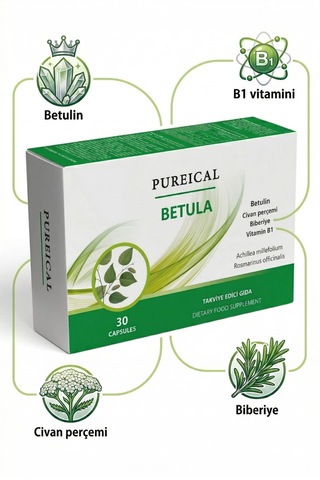 Pureıcal Betula Huş Ağacı Özü Betulin Civan Perçemi Biberiye B1 Vitamini 30 Kapsül