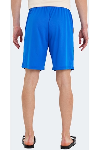Slazenger RAKESH IN Erkek Cepli Fıtness Saks Mavi Şort