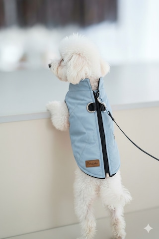 Kedi - Köpek Kışlık Şişme Yelek - Mont - Yağmurluk