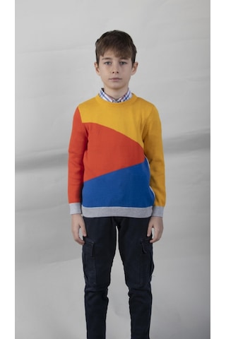 Alexandergardı Desenli Çocuk Triko Kazak C21-18677 01 001