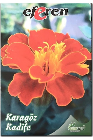 Karagöz Kadife Tohumu