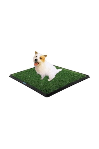 Yusa Stores Köpek Tuvalet Eğitim Seti