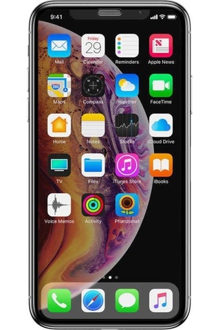 For Apple Uyumlu iPhone 11 Pro Max (6.5") Logis Full-Screen Hayalet Ekrn